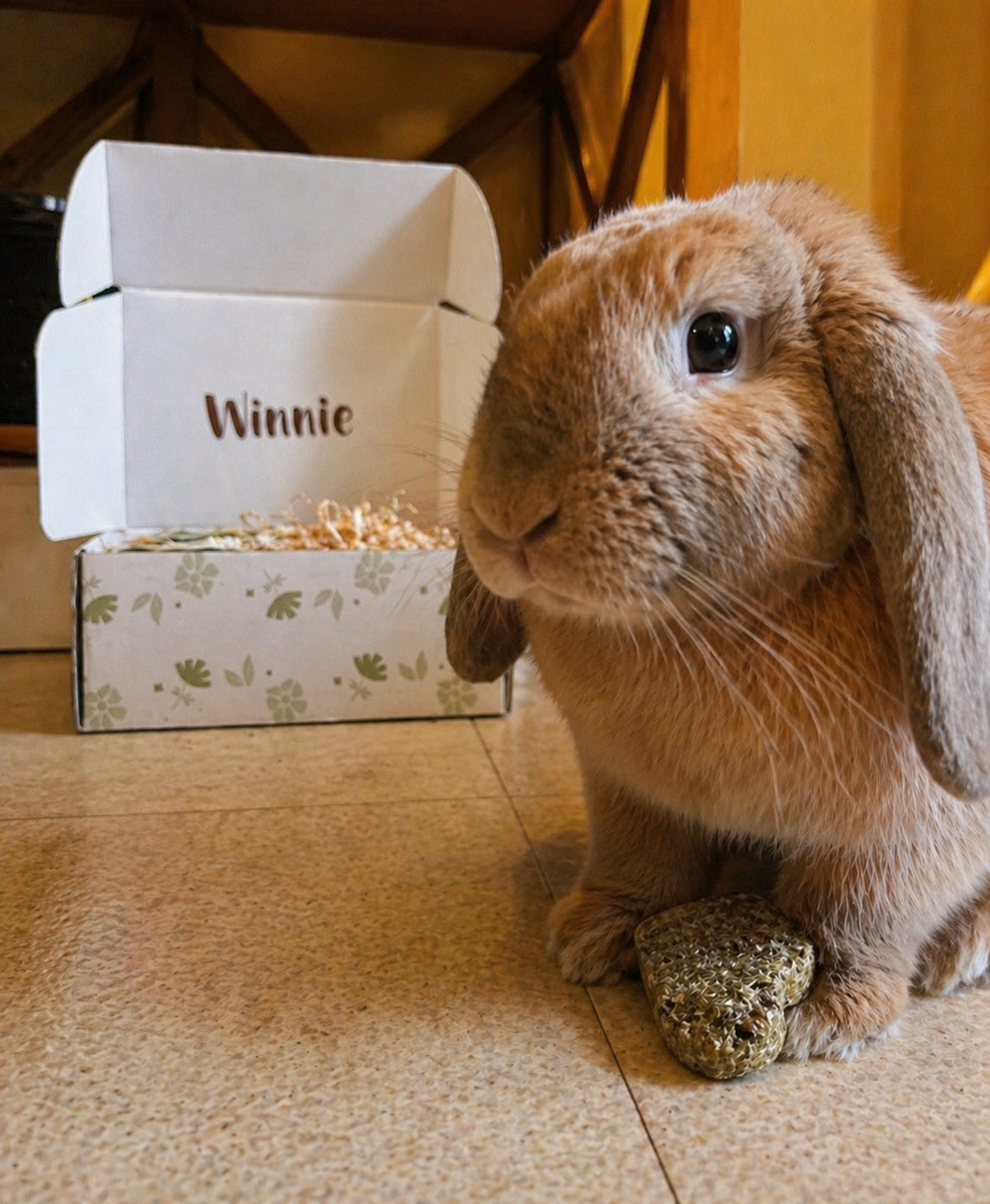 Box La Maison Winnie personnalisée au prénom du lapin