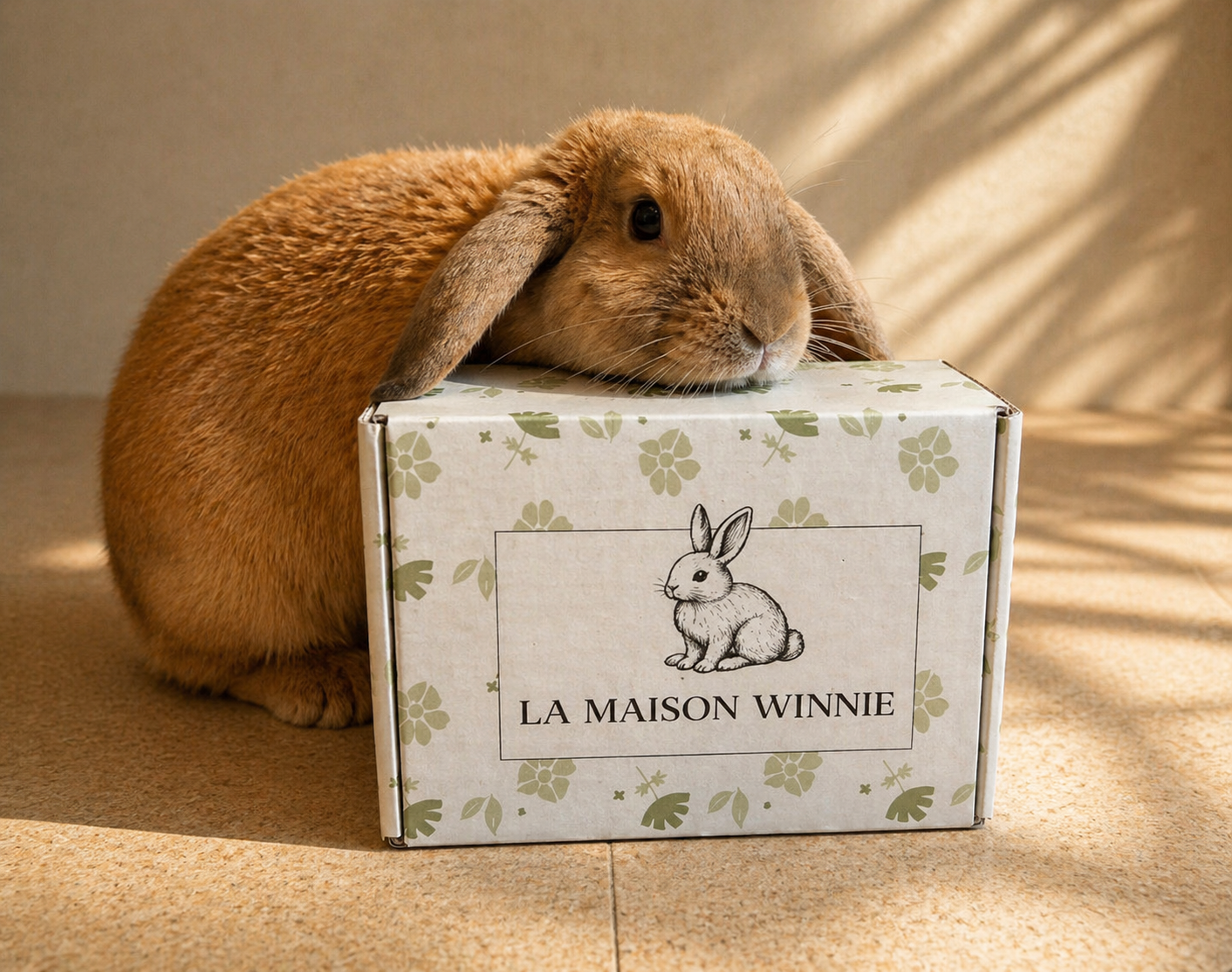 Winnie valide la box La Maison Winnie